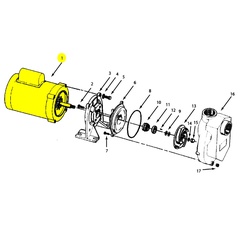 AMT Pump Repair Part 1626-305-00