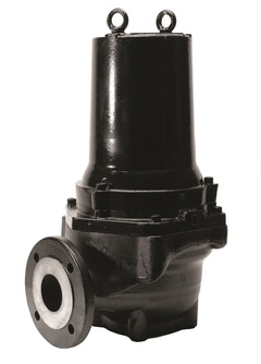 Goulds Pumps 3GV1112AD 3GV Plus Vortex Sewage Pump