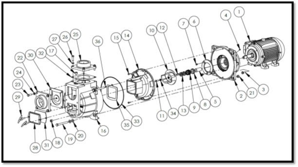 AMT Self Priming Sewage Trash Pump Parts Diagram