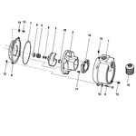 AMT Pumps 393A-95 NPT Sewage Trash Pump | PumpCatalog.com