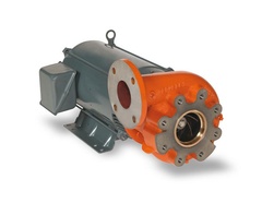 Berkeley Pumps Model B74905 Motor Drive Centrifugal Pump
