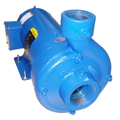 3154G7-2-1/2F-AI-ME Burks Crane G7-2-1/2 Centrifugal Pump