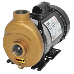 AMT Pumps 388K-98 1-1/2