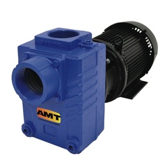 AMT Pump Model Number 2878-95