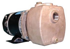 Oberdorfer Pump 300BS-10